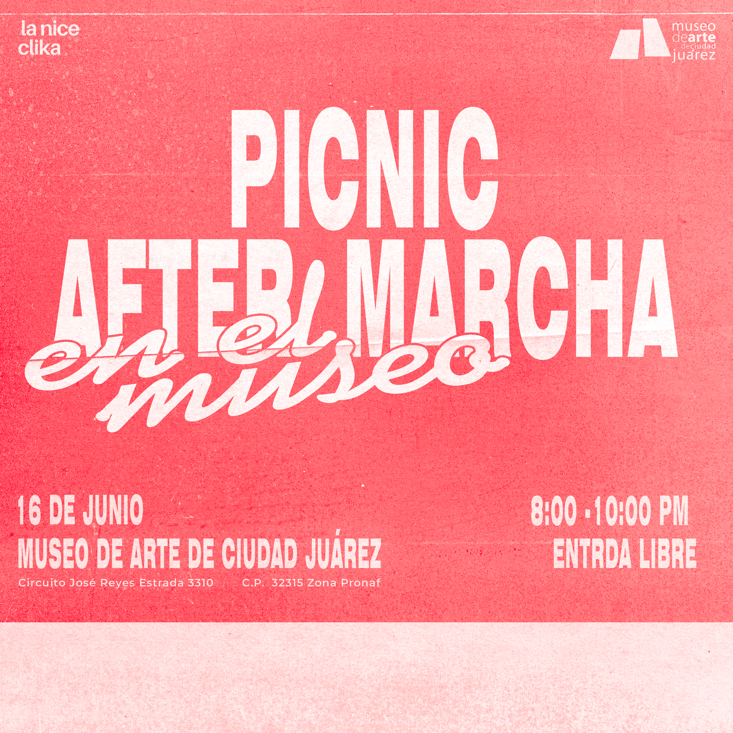 Imagen de galería